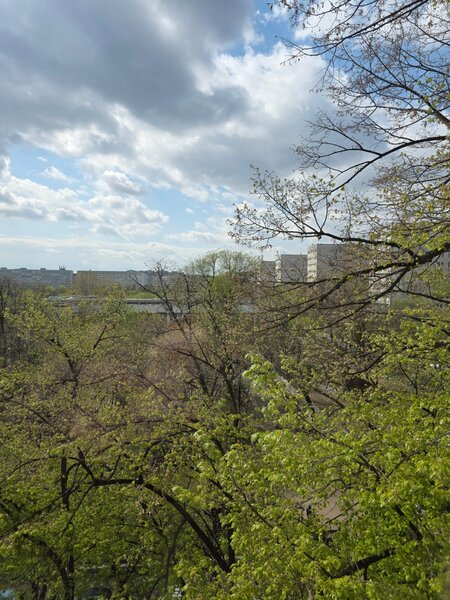 Dristor, chiar la Mall Park Lake si parc IOR